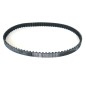 825109 BELT