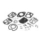 Reparatie set voor de carburateur merc 20 (200)