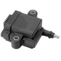 Mercury Ontstekingspoel EFI & DFI