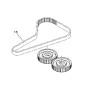Distributie riem Yamaha F150