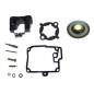 carburateur reparatie set F9.9A & F9.9B carburateur reparatie set F9.9A & F9.9B