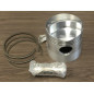 Mercury Inline Pistons  2.875 Low dome std. size