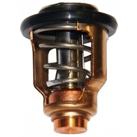 Thermostaat Yamaha F115B // F130A