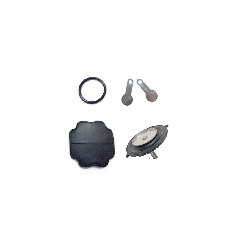 Fuel pump repair kit Yamaha Mercury