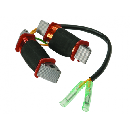 Alternator coil