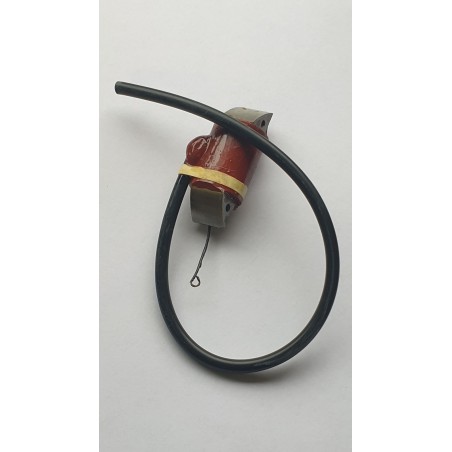 Coill Ignition Yamaha P65