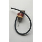 Coill Ignition Yamaha P65