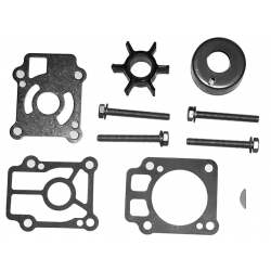 Impeller kit 25 & 30 2 & 4 takt (japan)