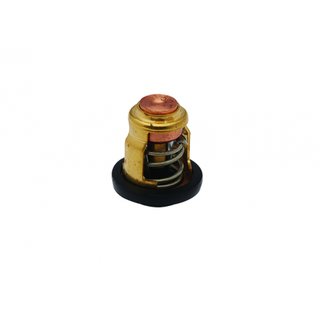 Thermostaat Yamaha 3 t/m 200pk 2 takt