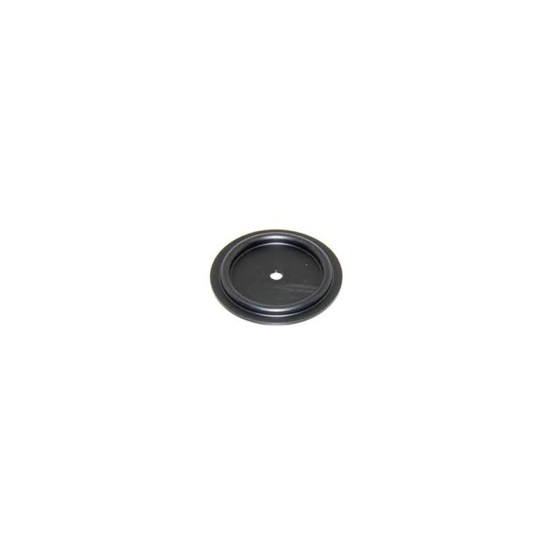 Poppet Valve Mercury
