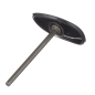 Plunger