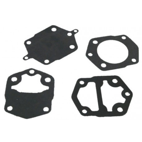 brandstofpomp reparatie kit