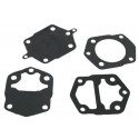 brandstofpomp reparatie kit