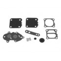 Membraam kit Mercury
