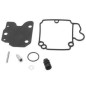 Carburateur reparatie kit F25 t/m F60