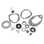 staartstuk seal kit 40-50-60 pk