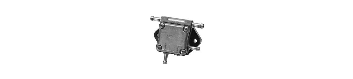 membraam kit mercury
