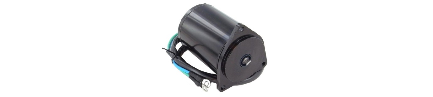 Yamaha powertrim motor