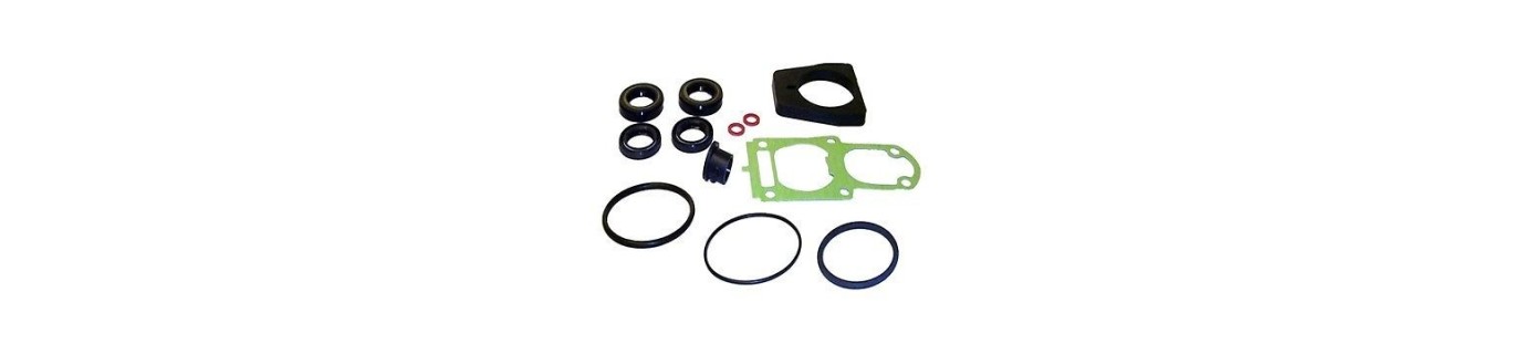 Lowerunit seal kit yamaha