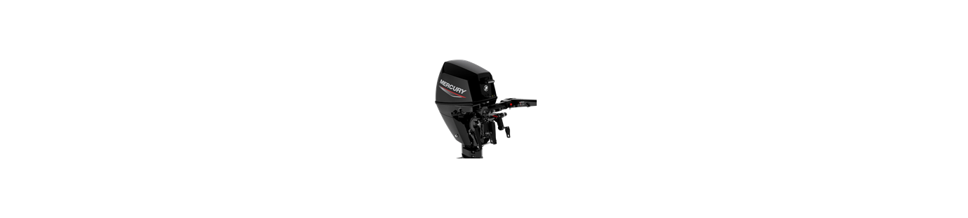 Mercury F8 & F9.9 EFI