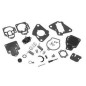 Carburateur reparatie Kit